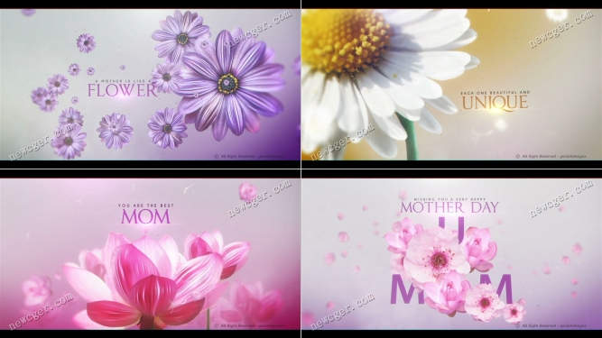 女人如花，母亲节或妇女节的美好祝福开场AE模板