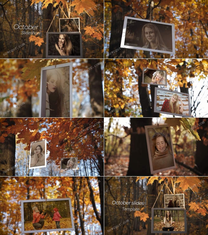 美丽的秋天森林相册AE模板.jpg