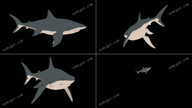 卡通鲨鱼视频素材.jpg