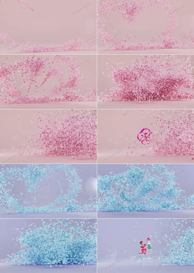 花瓣標志動畫AE模板.jpg