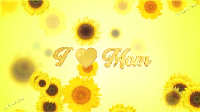 母亲节的太阳花视频素材.jpg