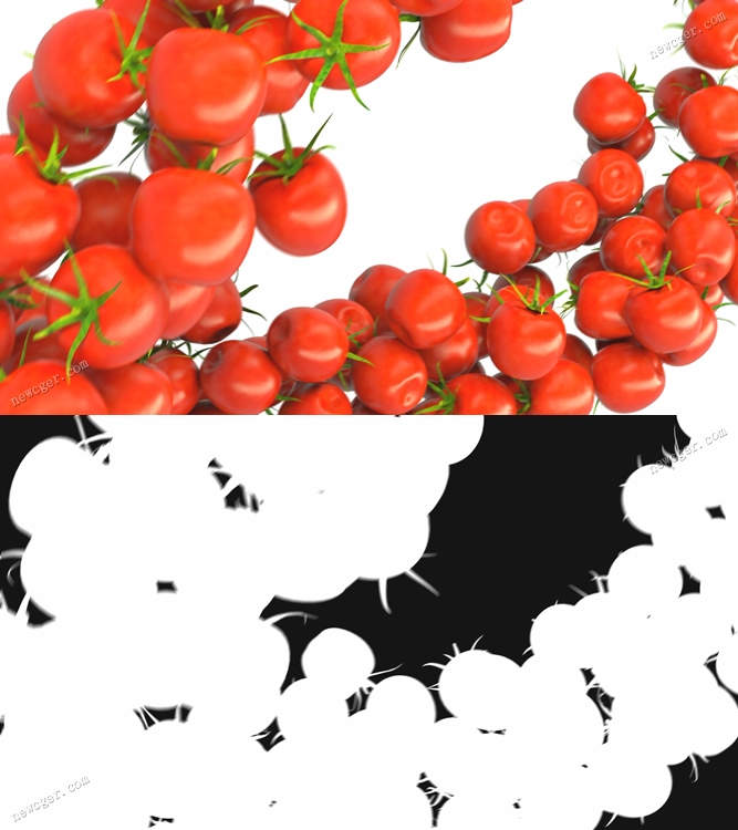 小樱桃番茄流动动画AE模板.jpg