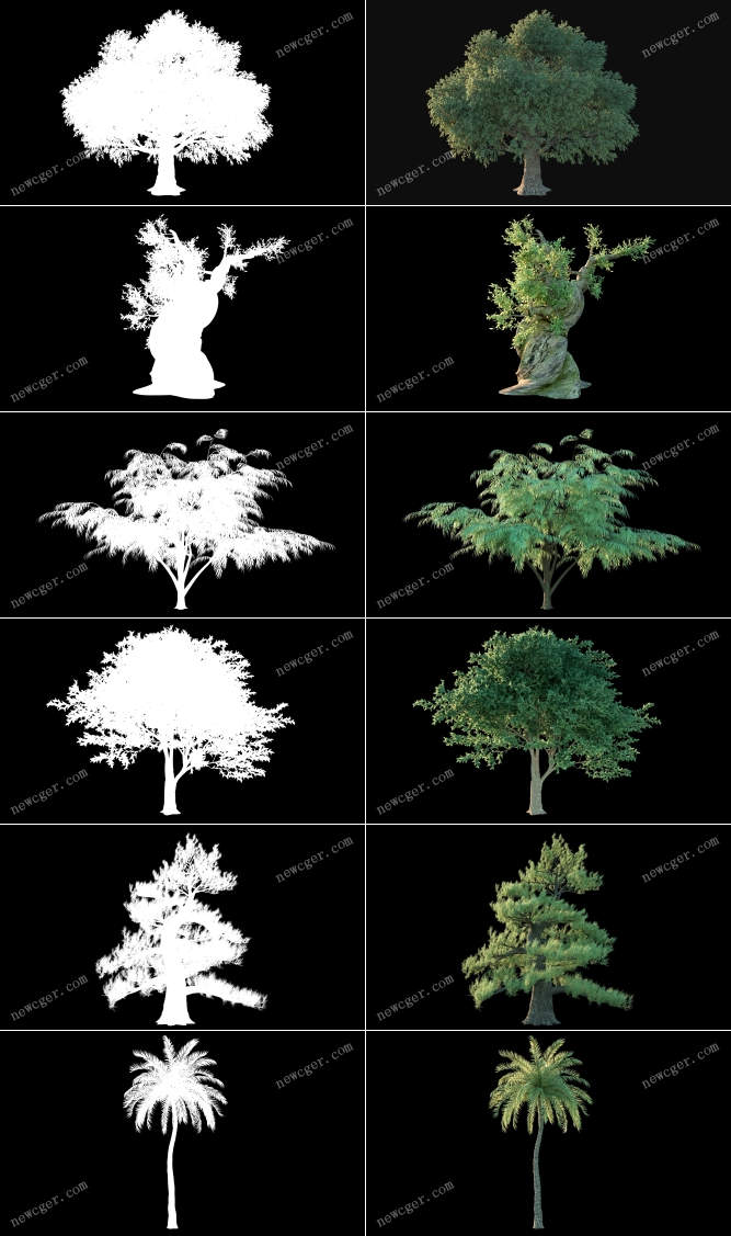 绿色树木视频素材.jpg