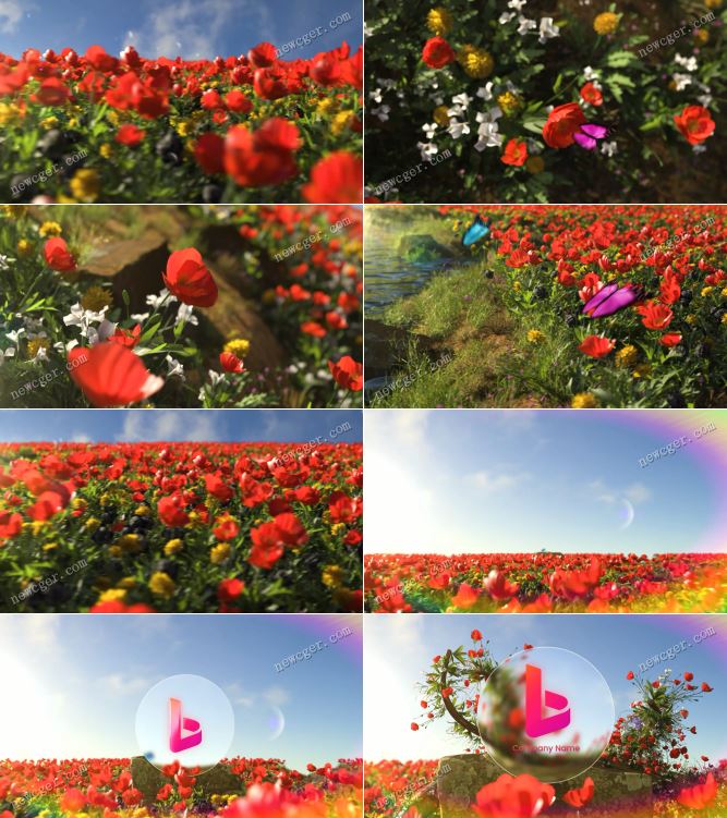 红色花朵原野AE模板.jpg