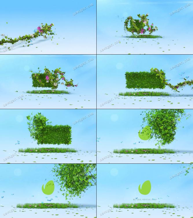 自然树叶标志动画AE模板.jpg