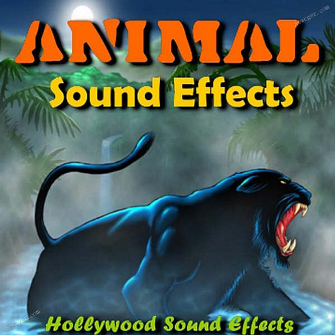 动物的声音音效.jpg