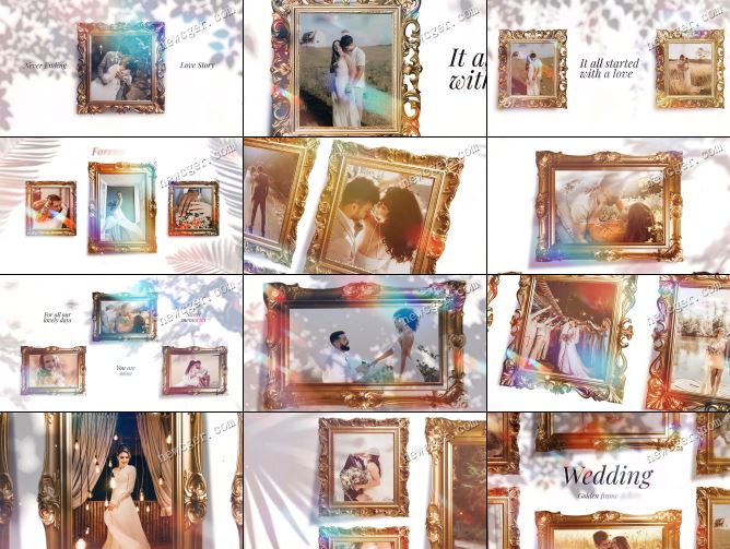 华丽婚礼画廊AE模板.jpg