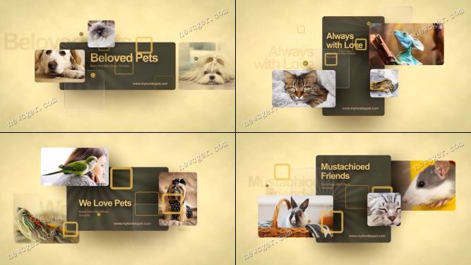 宠物主题幻灯片AE模板.jpg