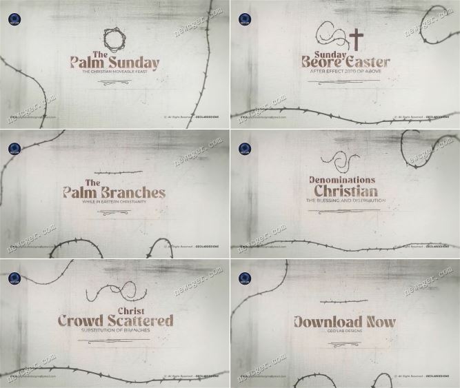 藤条标题AE模板.jpg 藤条标题AE模板.jpg