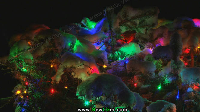 挂满彩灯的圣诞树视频素材.jpg