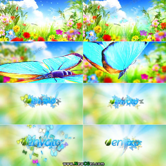 漂亮的蝴蝶飞舞标志展示AE模板.jpg