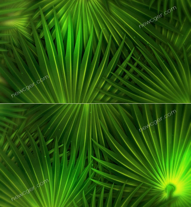 绿色的叶子视频素材.jpg