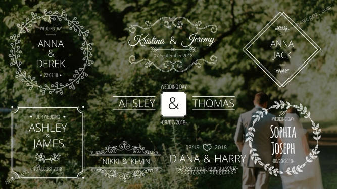 婚礼标签AE模板.jpg
